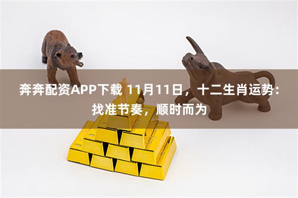 奔奔配资APP下载 11月11日，十二生肖运势：找准节奏，顺时而为