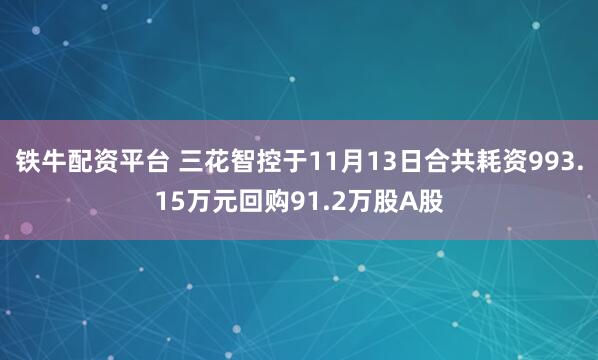 铁牛配资平台 三花智控于11月13日合共耗资993.15万元回购91.2万股A股