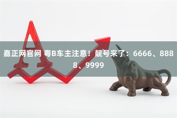 嘉正网官网 粤B车主注意！靓号来了：6666、8888、9999